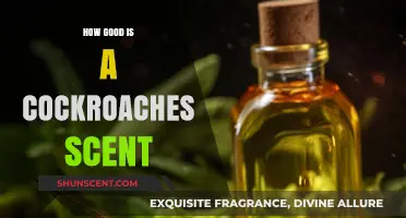 Cockroach Scent: Unbelievable Sensitivity and Survival Secrets Revealed