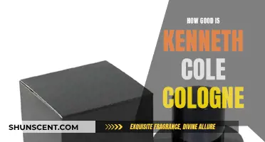 The Allure of Kenneth Cole Colognes: A Review