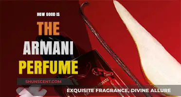 Armani Perfumes: Are They Worth the Hype?