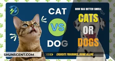 The Great Debate: Which Pets Have a Better Scent - Cats or Dogs?