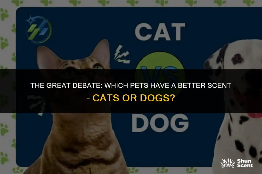how has better smell cats or dogs