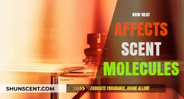 Heat's Impact: How Temperature Enhances or Mutes Scent Molecules