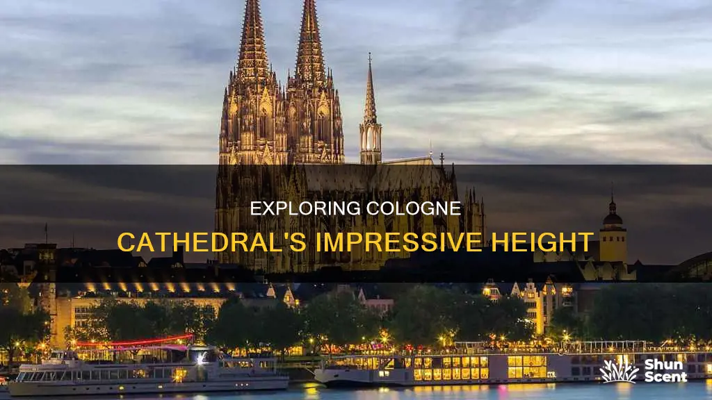 how high is cologne cathedral