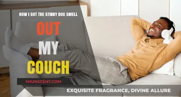 Bye-Bye Doggy Odor: My Couch's Transformation Story