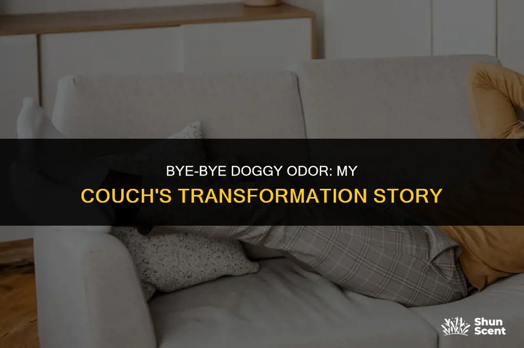 how i got the stinky dog smell out my couch