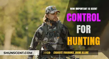 Mastering Scent Control: A Game-Changer for Hunting Success