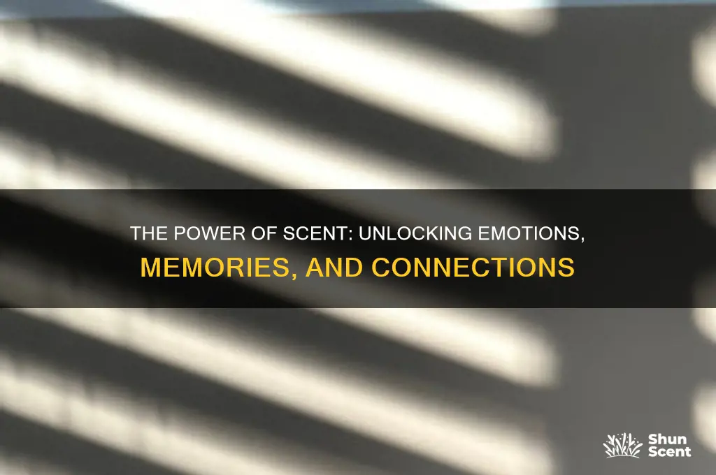 how important is scent