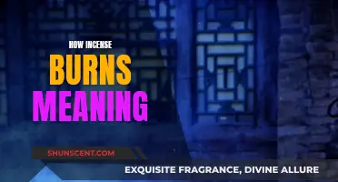 Incense Burning: Meanings and Rituals Explored