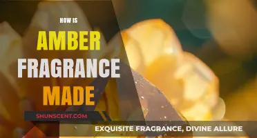 The Art of Amber Fragrance: A Journey from Tree to Bottle