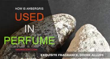 The Magic of Ambergris in Perfumes