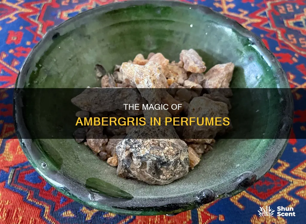 how is ambergris used in perfume