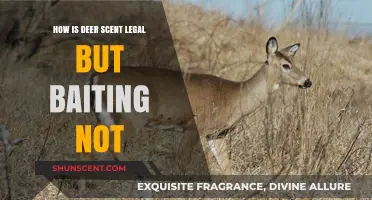 Deer Scent vs. Baiting: Understanding the Legal Hunting Divide