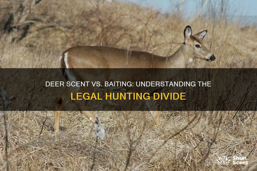 how is deer scent legal but baiting not