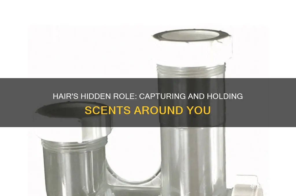 how is hair a scent trap