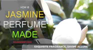 Jasmine Perfume: The Art of Scent Extraction