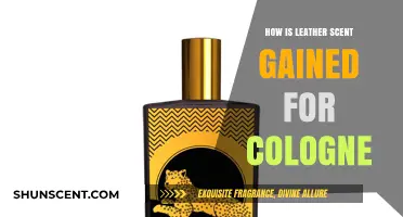 Unveiling the Art of Capturing Leather's Rich Aroma in Cologne