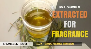 The Art of Lemongrass Oil Extraction: Unlocking Nature's Fragrant Secrets