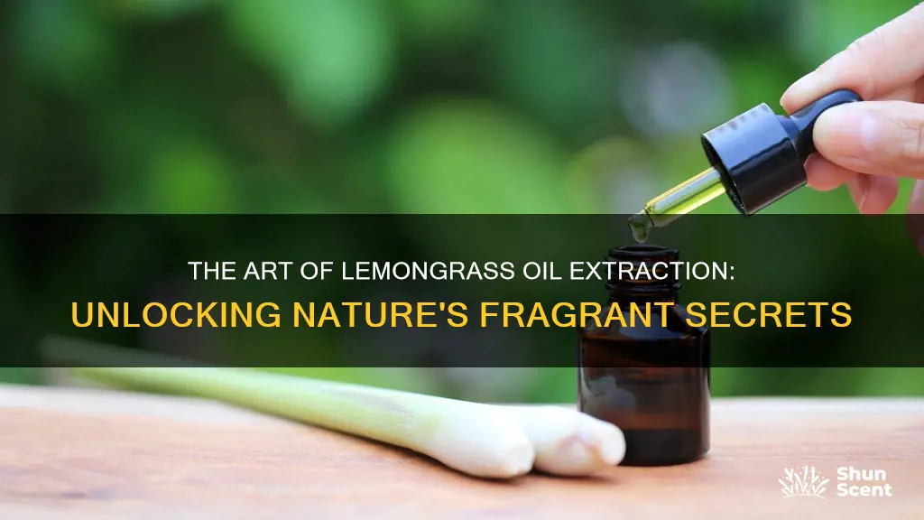 how is lemongrass oil extracted for fragrance