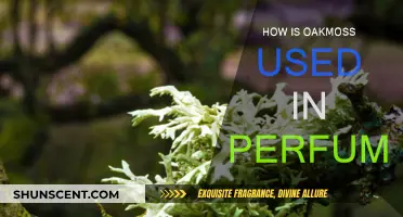 Oakmoss: A Key Perfume Ingredient Explained