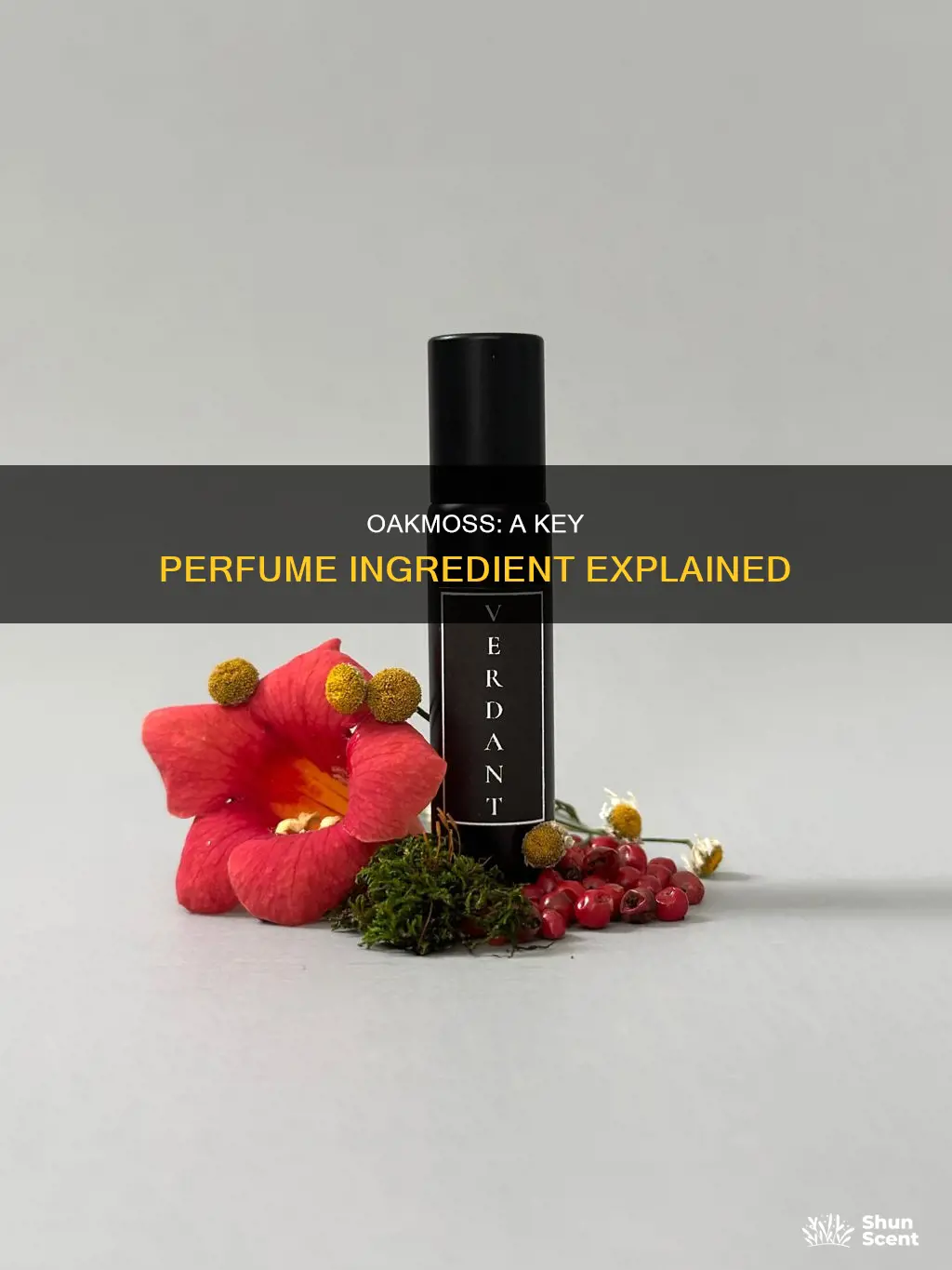 how is oakmoss used in perfumes