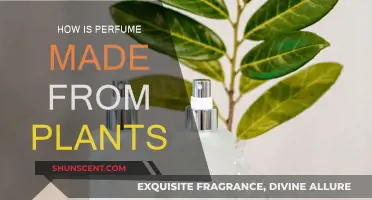 The Art of Making Perfume from Plants