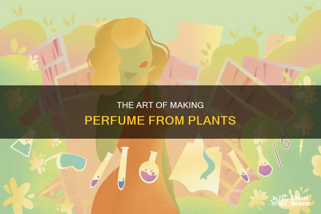 how is perfume made from plants
