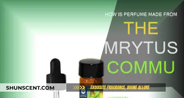 The Ancient Art of Myrtle Perfume Making