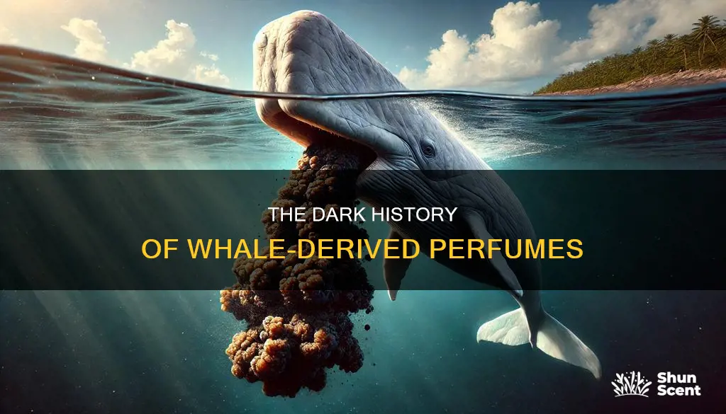 how is perfume made from whales