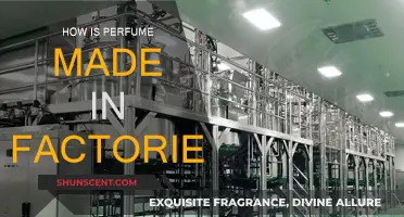 The Art of Perfume Making in Factories