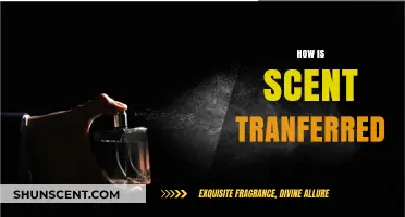 Understanding Scent Transfer: How Aromas Travel and Spread