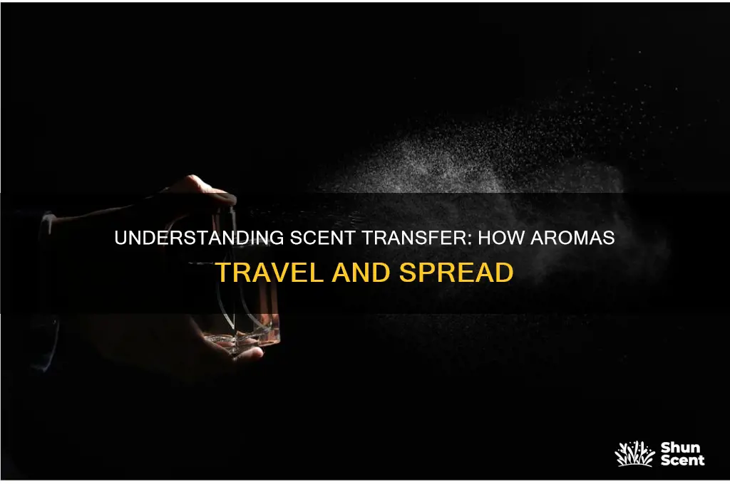 how is scent tranferred