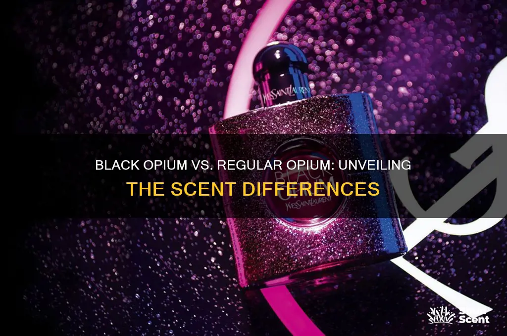 how is the scent black opium different then regular opium