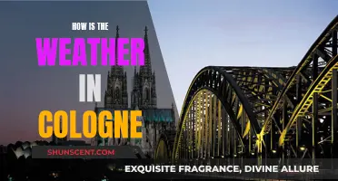 Weather in Cologne: A Local's Guide to the Climate