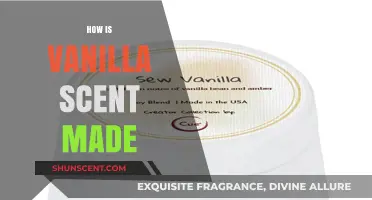 The Art of Creating Vanilla Scent: A Fragrant Journey