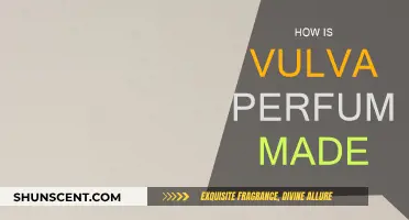 The Art of Vulva Perfume: A Sensual Guide