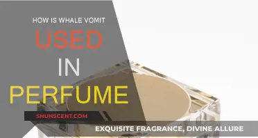 Whale Vomit: The Secret Ingredient in Your Perfume
