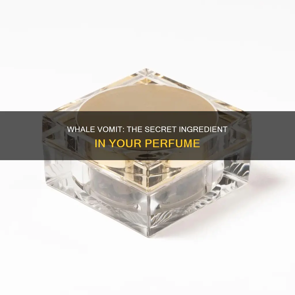 how is whale vomit used in perfume