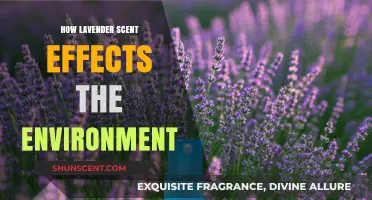 Lavender's Aromatic Influence: Exploring Its Environmental Impact and Benefits