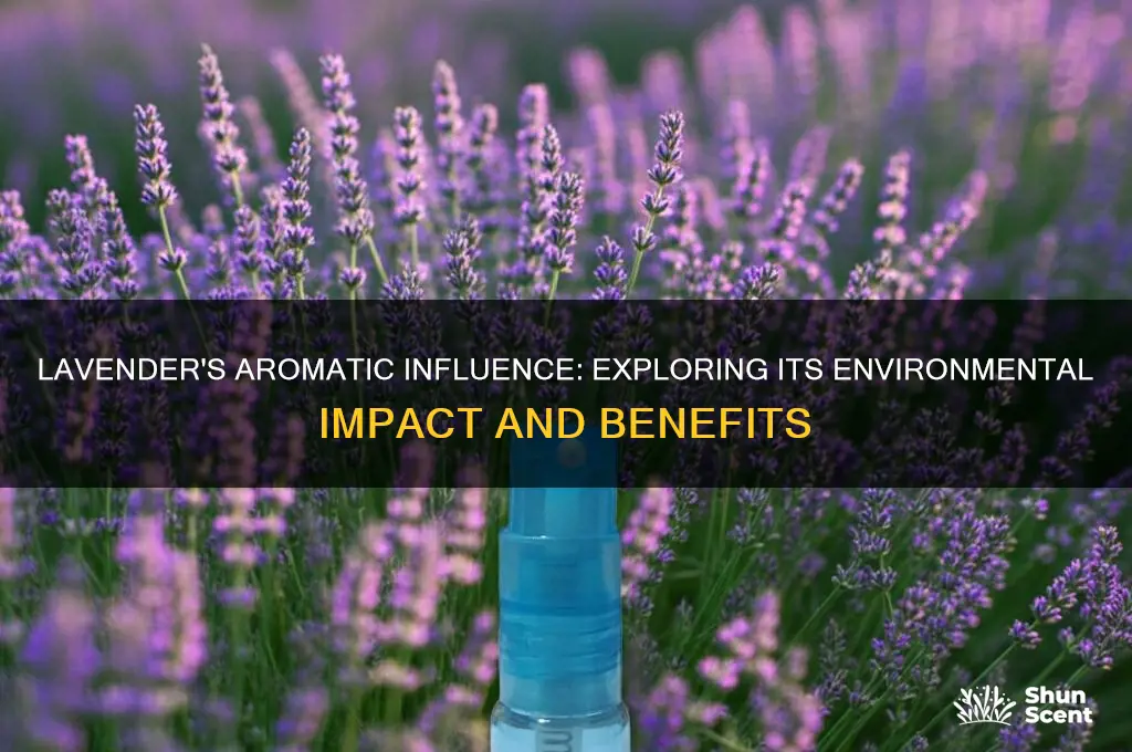how lavender scent effects the environment