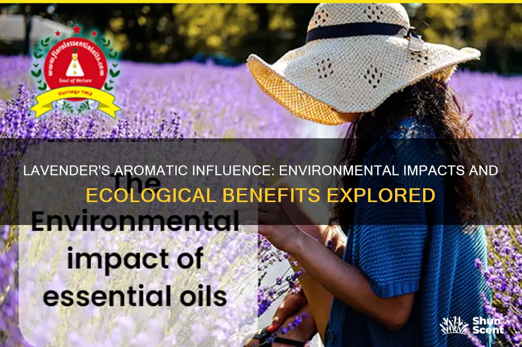 how lavennder scent effects the environment