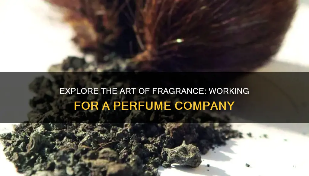 how learn to work for a perfume company