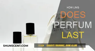 The Longevity of Scents: How Long Does Perfume Really Last?