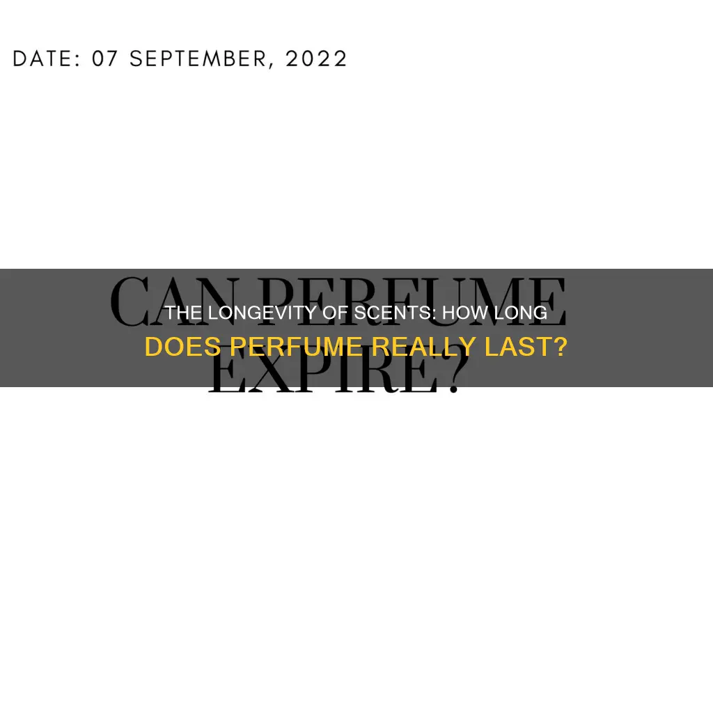 how lobg dies perfume last