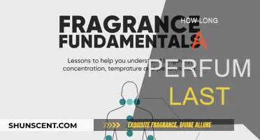 The Longevity of Scents: How Long Does Perfume Really Last?