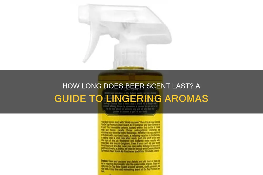 how long beer scent