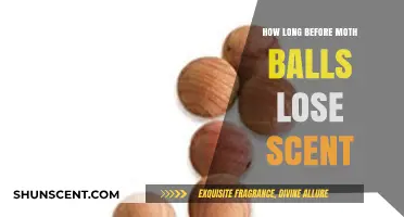 How Long Does the Scent of Moth Balls Typically Last?