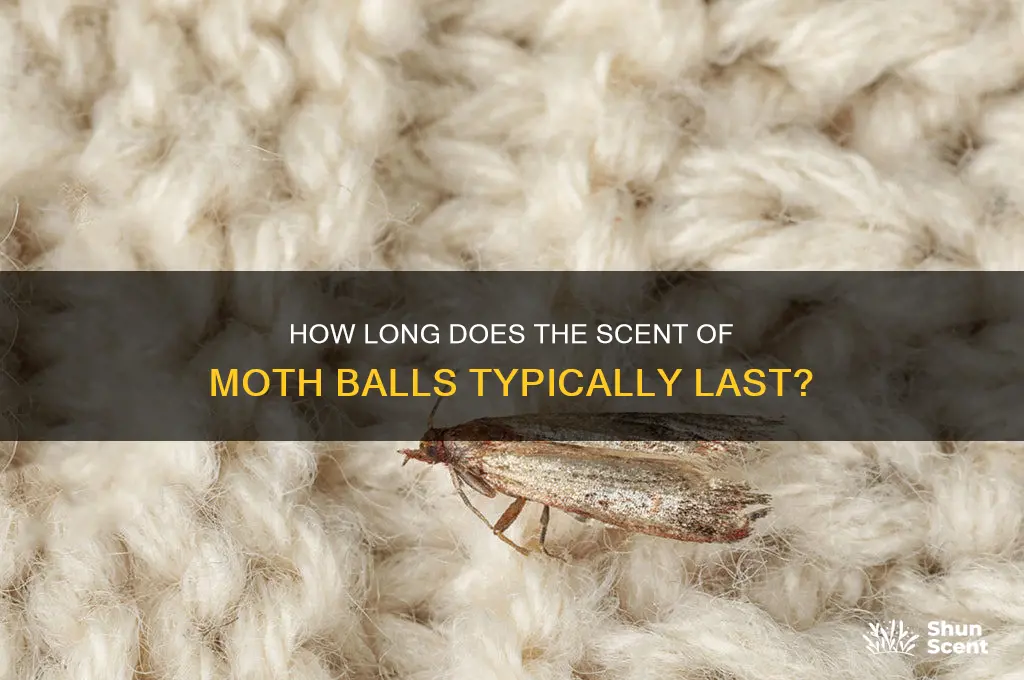 how long before moth balls lose scent
