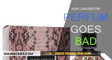 Perfume Longevity: How Long Does It Last?