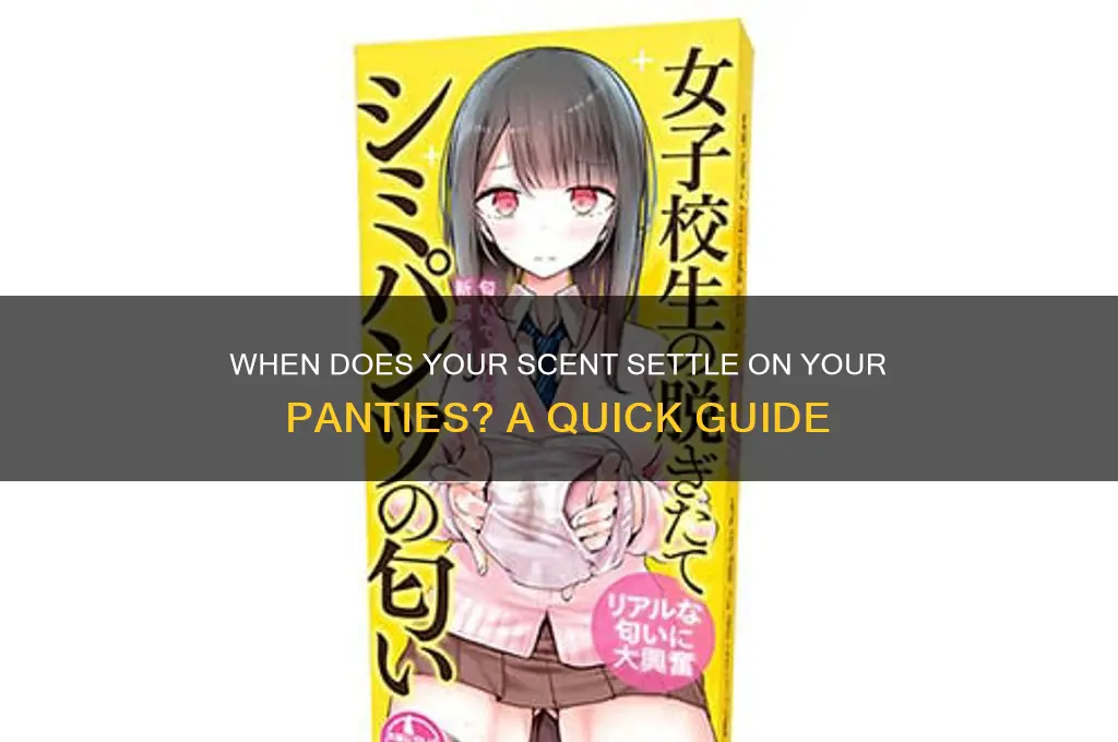 how long before your scent is on your panties