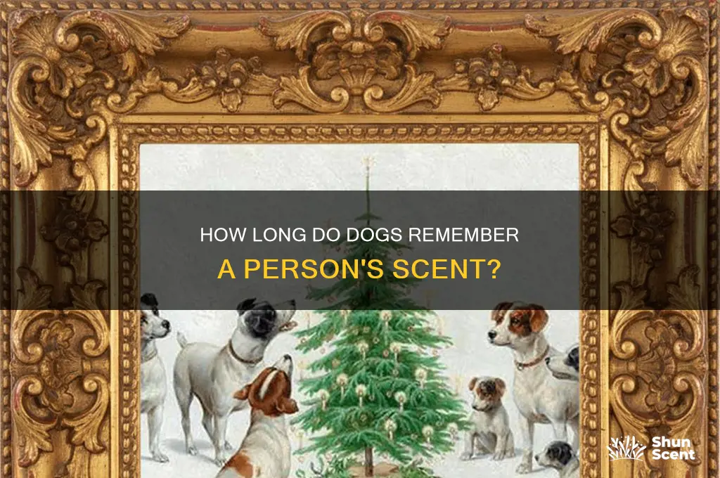 how long can a dog remember a person